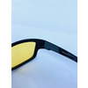    |      AUDI polarized
