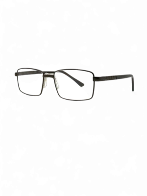          (,          Ralph 6009_1)